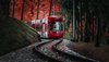 FOREST TRAMWAY